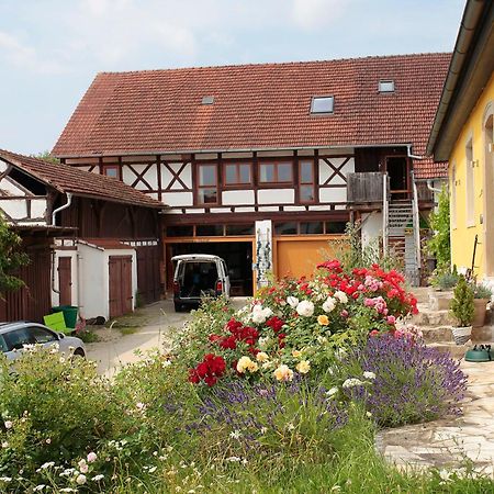 Studioapartment Mit Wohlfuehlcharakter Litzendorf Extérieur photo
